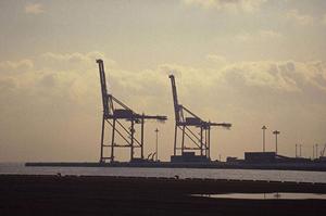 予算に見合った冷凍ショーケース